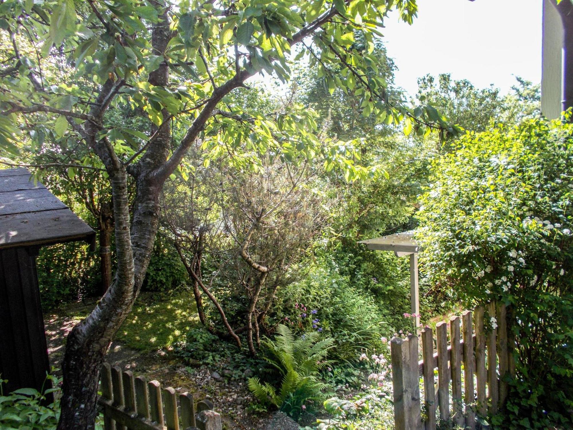 Im Herzen Der Natur Herdwangen-Schonach Exterior photo